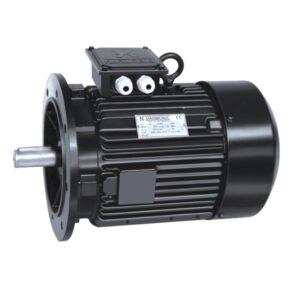 CI-A.C-Electric-Motor-300x300