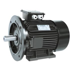 CI-B3-B5-Motor-300x300