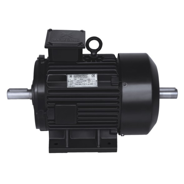CI-Double-Ended-Motor