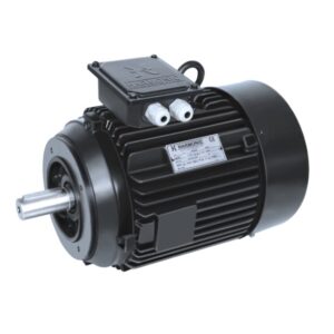 CI-Face-Mounted-Motor-300x300